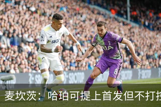 麦坎茨：哈珀可提上首发但不打控卫 建议马刺留福克斯打五小